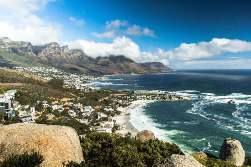 Penguin Half-Day Tour With Ticket Included (Join a Group) - Bottled Water Included