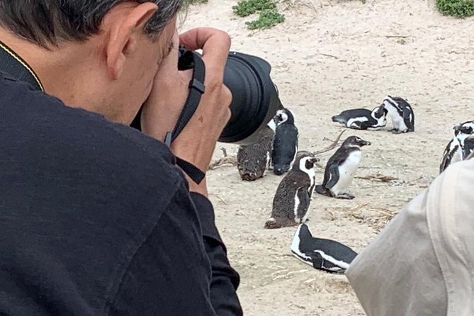Penguins, Cape Point & Table Mountain. - Inclusions and Exclusions