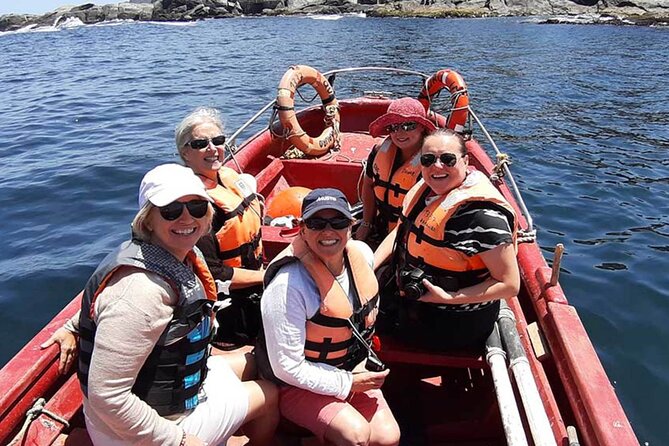 Penguins Island Horse Riding & Picnic From Valparaiso - Accessibility and Participation