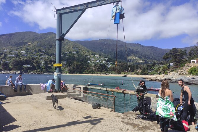Penguins Island Horse Riding & Picnic From Valparaiso - Picnic and Horse Riding Experience