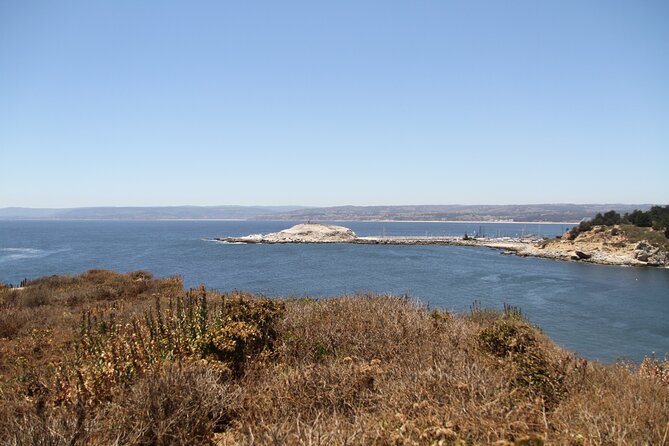 Penguins Poetry and Pinot Noir Tour in San Antonio Province - Penguins and Poetry