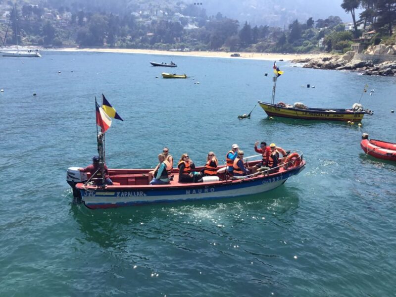 Penguins, Sea Lions, Sandboard, Chilean Food & Drinks - Activities and Experiences