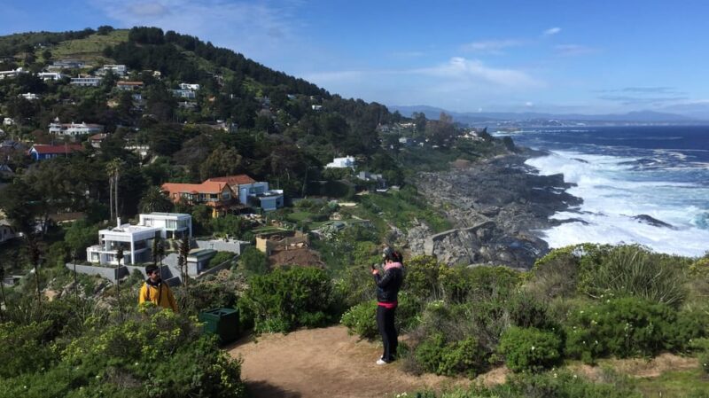 Penguins Watching Cachagua Island in Zapallar From Santiago - Participant Guidelines