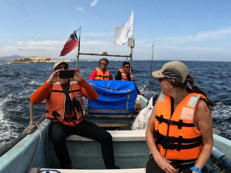 Penguins Watching Cachagua Island in Zapallar From Santiago - Travel Time and Distance