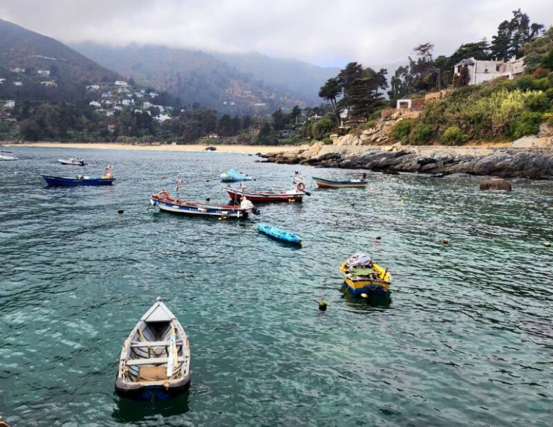 Penguins Watching Cachagua Island - Zapallar From Valparaiso - Inclusion