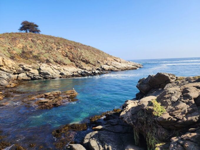 Penguins Watching Cachagua Island - Zapallar From Valparaiso - Booking and Cancellation