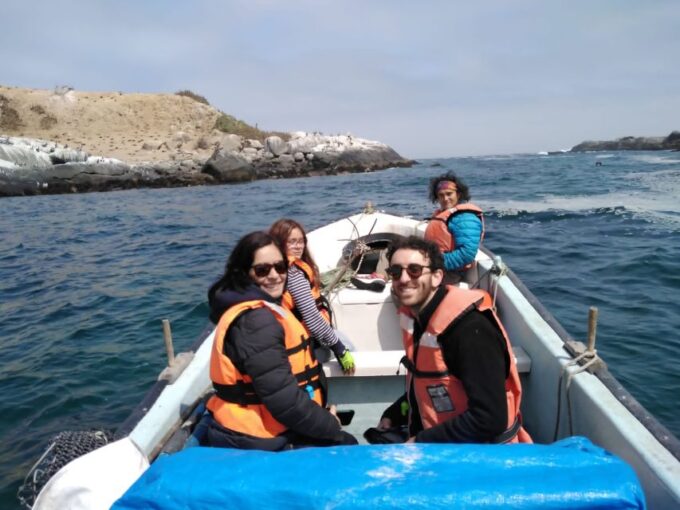 Penguins Watching Cachagua Island - Zapallar From Valparaiso - Frequently Asked Questions