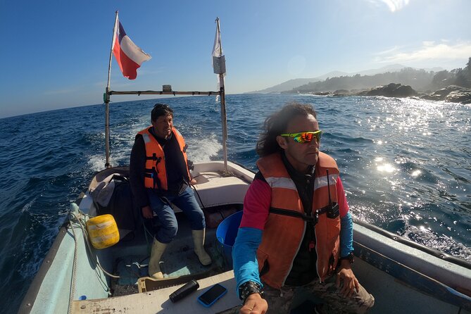 Penguins Watching Navigation Cachagua Island&Lunch From VALPARAIS - Isla Cachagua Itinerary