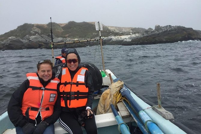 Penguins Watching-Navigation & HorseRide&Barbecue From VALPARAISO - Key Points