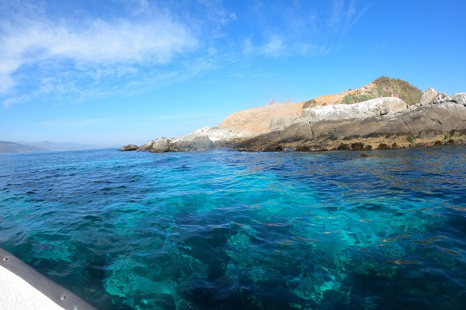 Penguins Watching-Navigation & HorseRide&Barbecue From VALPARAISO - Horseback Riding Adventure