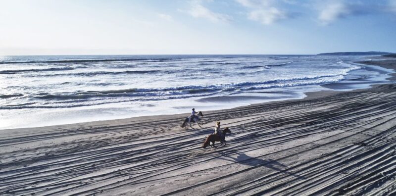 Penguins Watching&HorseRiding&Barbecue Beach&Dunes FromStgo - Experience Highlights