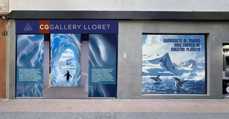 Penguins World Interactive Photo Exhibition - Key Points