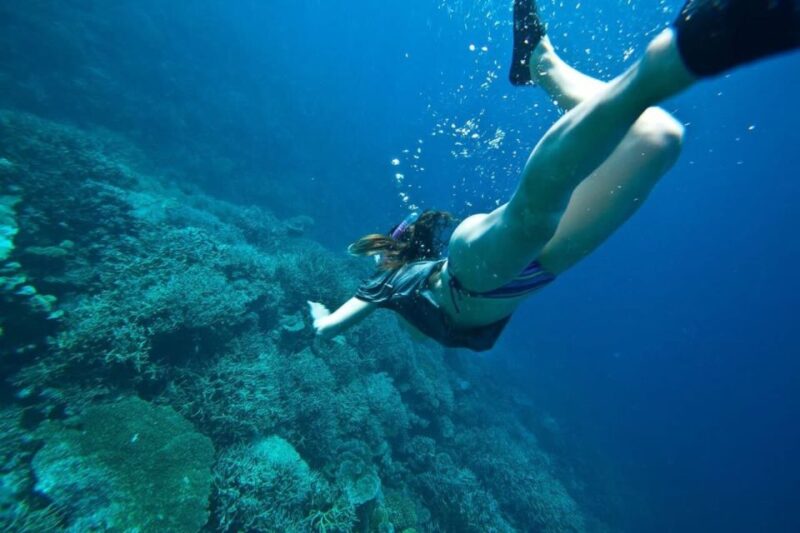 Peniche: Berlengas Island Caves Tour and Snorkeling - Meeting Point and Important Information