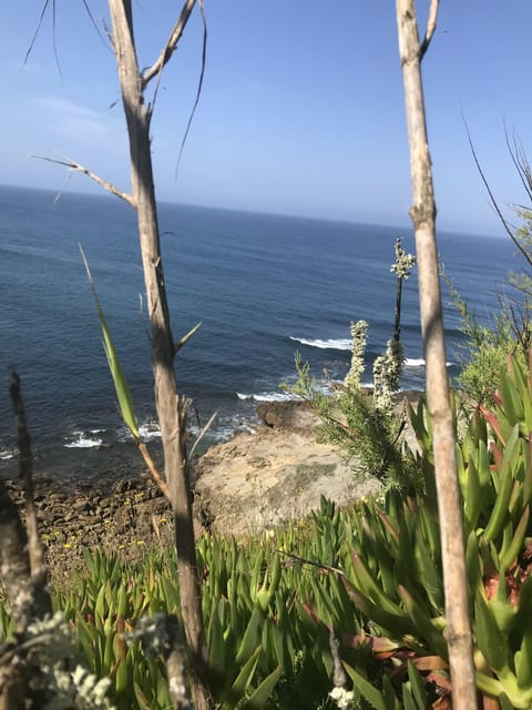 Peniche: Cliff Walking Tour All Along With Atlantic Ocean - Itinerary and Highlights