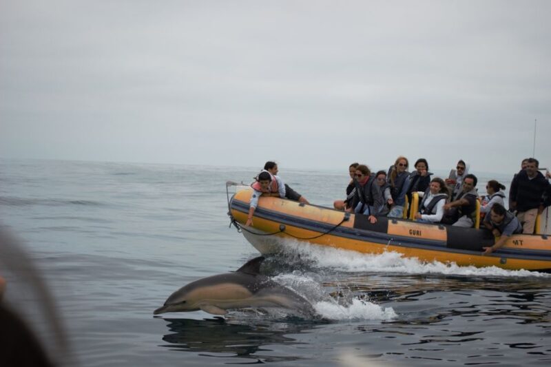 Peniche: Dolphin Route Boat Trip - Cancellation and Payment Policies