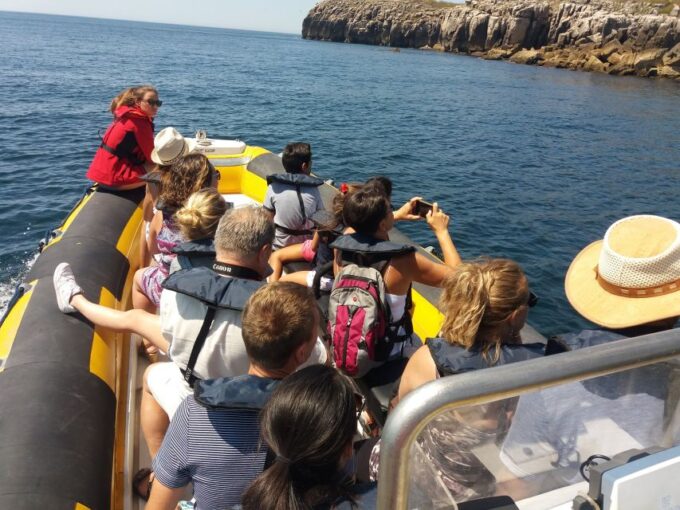 Peniche: Dolphin Route Boat Trip - Important Considerations