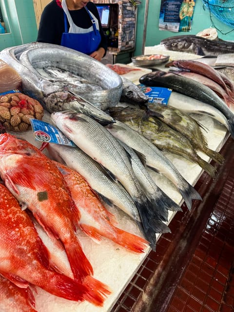 Peniche: Gastronomy & Jeep Tour | Offer of Fish Stew - Not Allowed