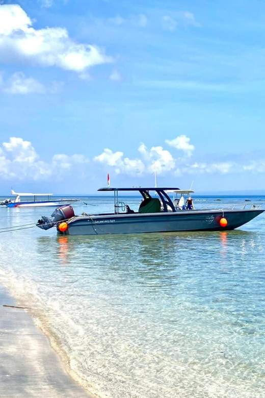 Penida Trip : Snorkeling Package in Nusa Penida - Trip Overview and Pricing