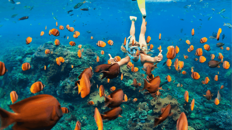Penida Trip : Snorkeling Package in Nusa Penida - Safety and Restrictions