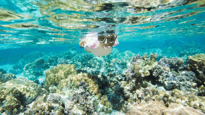 Penida Trip : Snorkeling Package in Nusa Penida - Diverse Marine Life