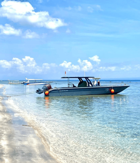 Penida Trip : Snorkeling Package in Nusa Penida - Small Group Advantage