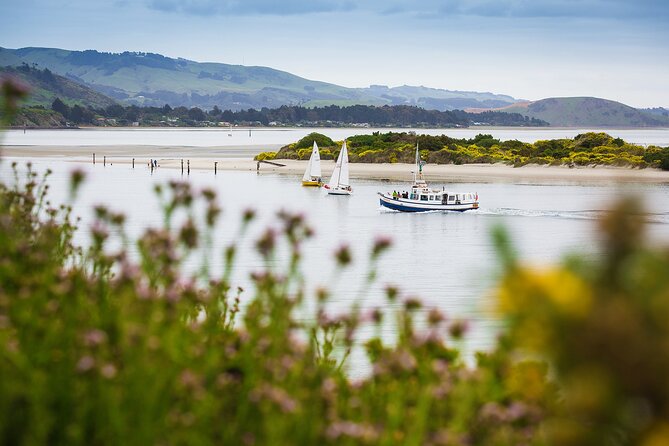 Peninsula Encounters + Wildlife Cruise - Guest Reviews and Experiences