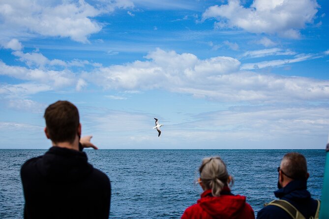 Peninsula Encounters + Wildlife Cruise - Pricing and Booking Information
