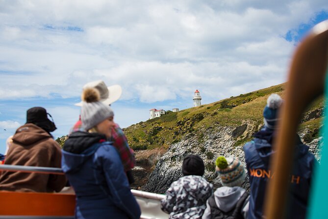 Peninsula Encounters + Wildlife Cruise - Accessing Remote Beaches and Areas
