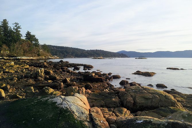 Peninsula Highlights - Artisan Studios