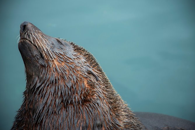 Peninsula Photography Tour - Tailored Guidance for Photographers