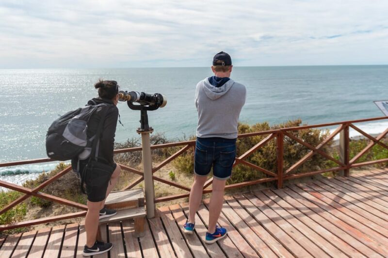 Peninsula Valdes Full Day Tour - Key Points