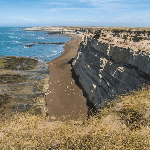 Peninsula Valdés: Shore Excursion for Cruise Passengers - Preparation and Important Information