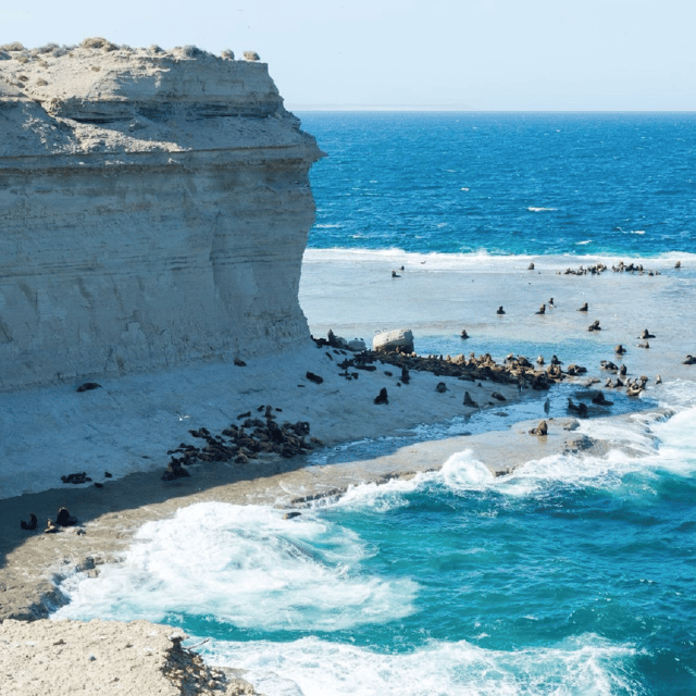 Peninsula Valdés: Shore Excursion in Private - Accessibility and Highlights