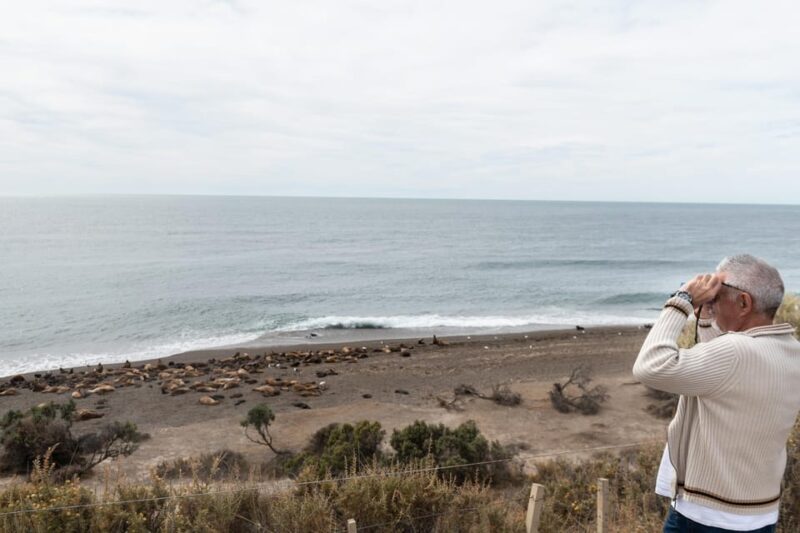 Peninsula Valdés With Estancia San Lorenzo (Full Day) - Key Points