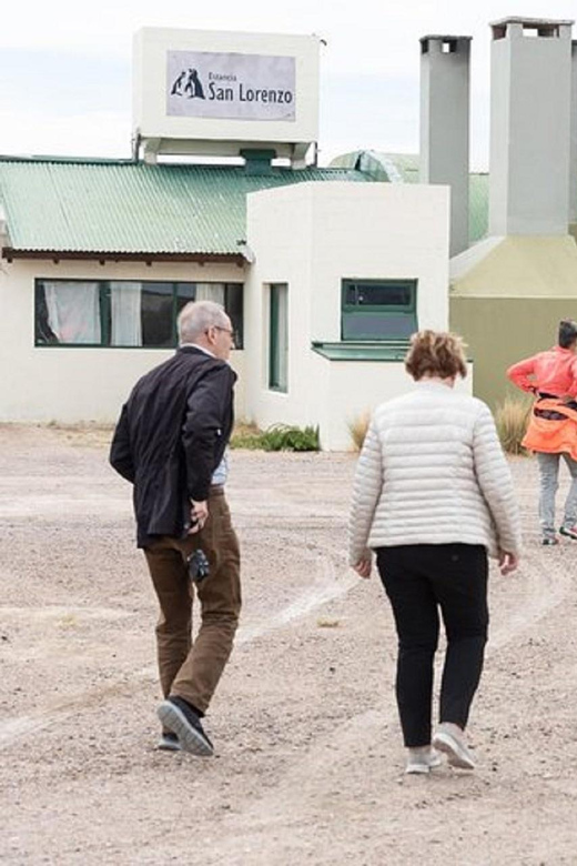 Peninsula Valdés With Estancia San Lorenzo (Full Day) - Accessibility and Group Size