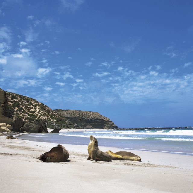Penneshaw: Shore Excursion Kangaroo Island Scenic Tour - Itinerary Details