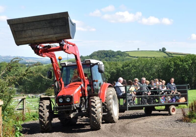Pennywell Farm: Devons Award Winning Farm - Voted No. 1 - Diverse Animal Encounters