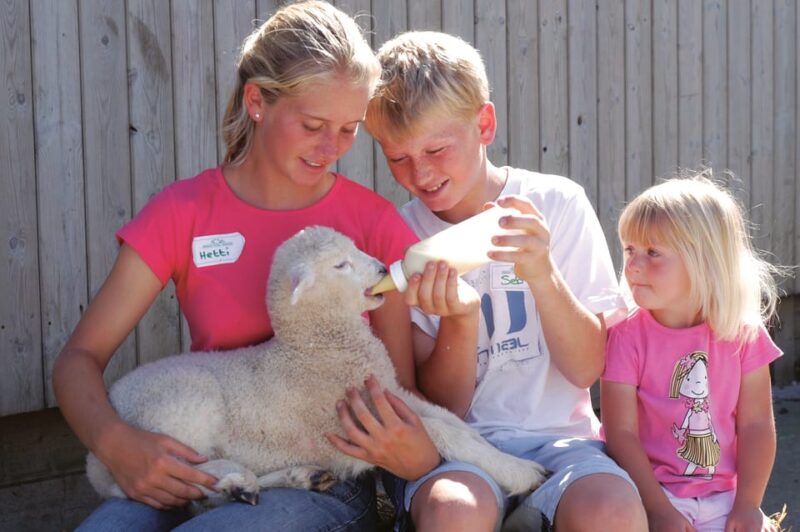 Pennywell Farm: Devons Award Winning Farm - Voted No. 1 - Family-Friendly Atmosphere