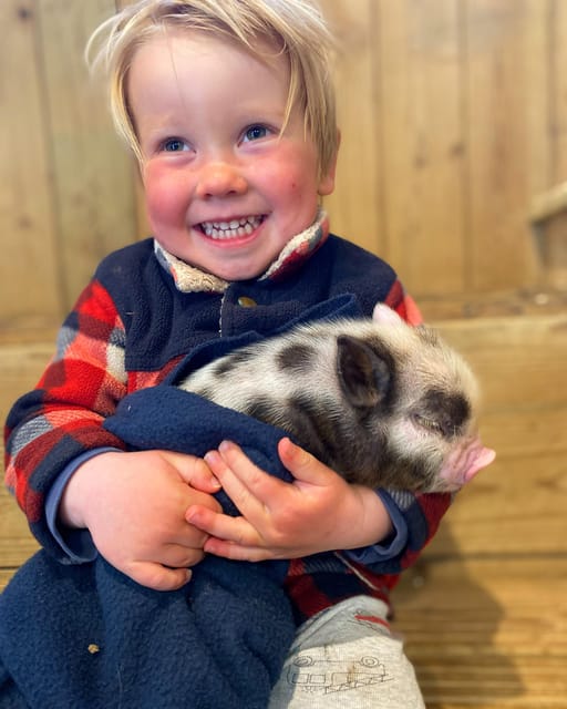 Pennywell Farm: Devons Award Winning Farm - Voted No. 1 - Visitor Feedback and Testimonials