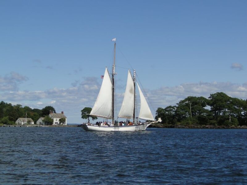 Penobscot Bay: Historic Schooner Day Sailing Trip - Coastal Views and Wildlife Sightings