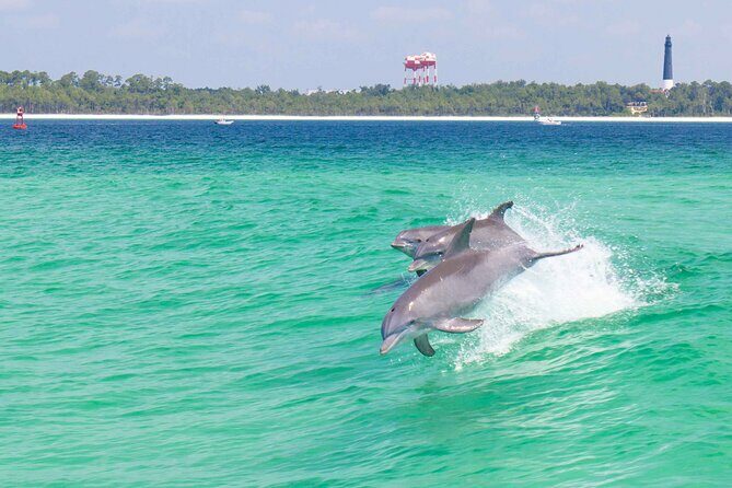 Pensacola Beach Dolphin and Scenic Tour - Key Points