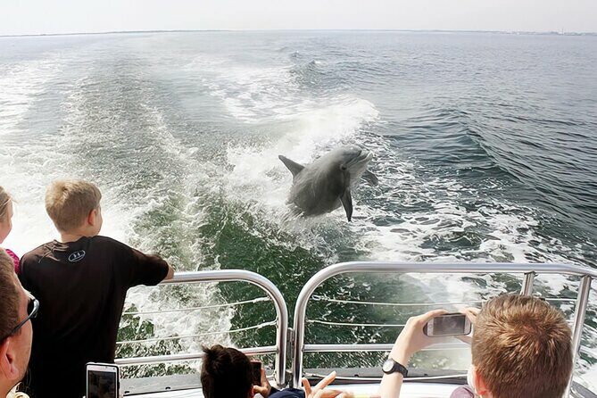 Pensacola Beach Dolphin and Scenic Tour - FAQs