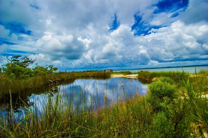Pensacola Beach Fort Pickens Dolphin Cruise Tour - The Experience in Detail