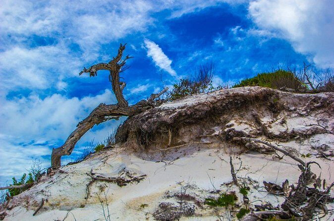 Pensacola Beach Fort Pickens Dolphin Cruise Tour - Final Thoughts