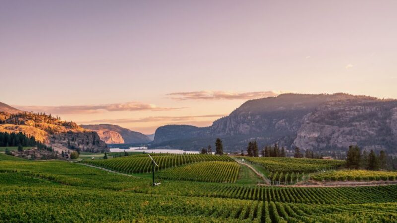 Penticton Wineries Tour - Experience and Features