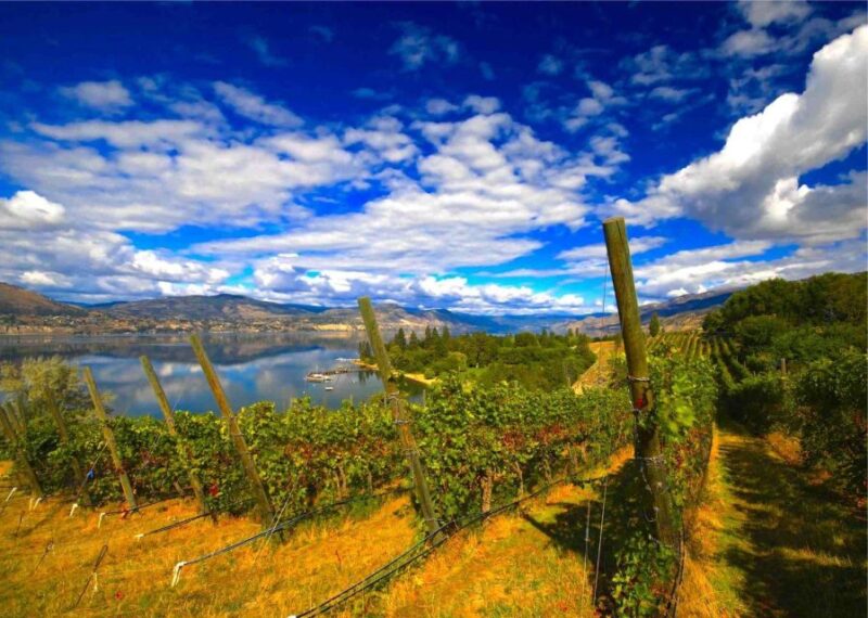 Penticton Wineries Tour - Tour Inclusions