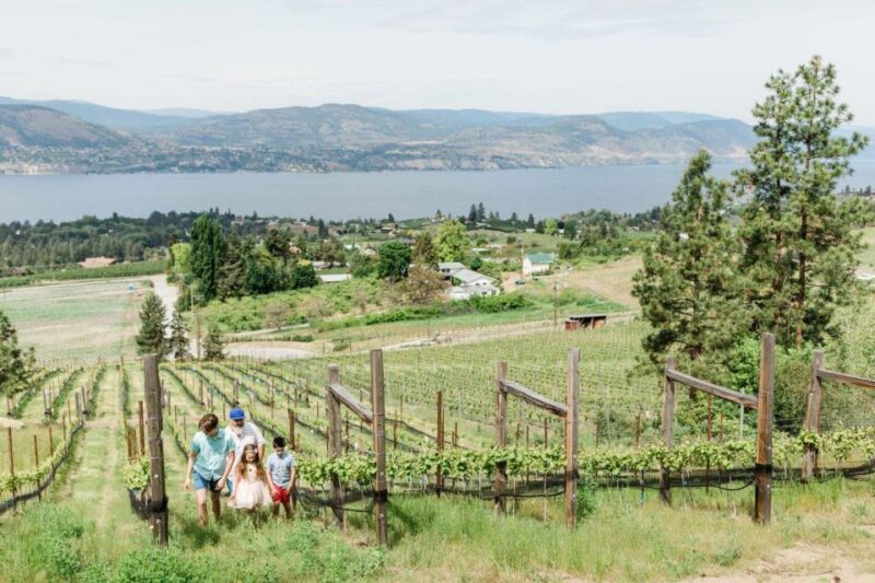 Penticton Wineries Tour - Customer Feedback