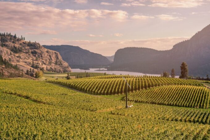 Penticton Wineries Tour - Reserve and Pay