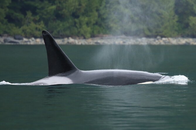 People Water Land- Indigenous Cultural and Wildlife Tour - Additional Information