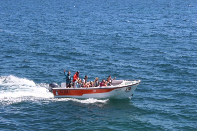 Pêra Formation: Guided Boat Tour of Benagil's 15 Best Caves - Safety and Accessibility